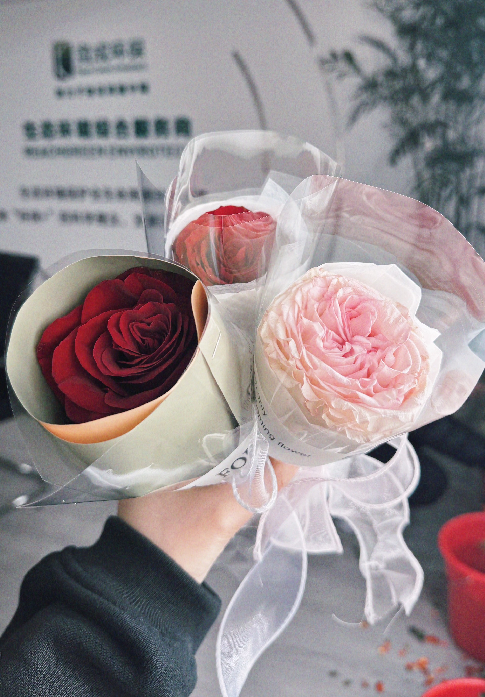 04bd0363b00c547124a1cae930d8923.jpg
